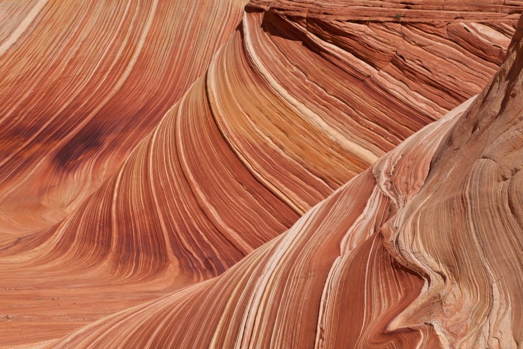 c90664e1390a37845a9b0c83565bf9de7a7c2b65