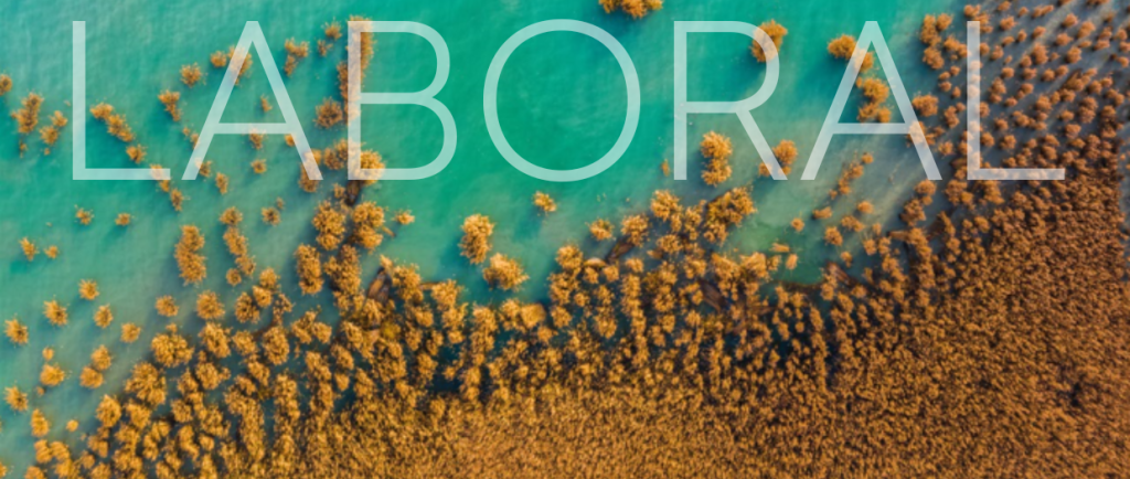 Actualidad jurídica LABORAL