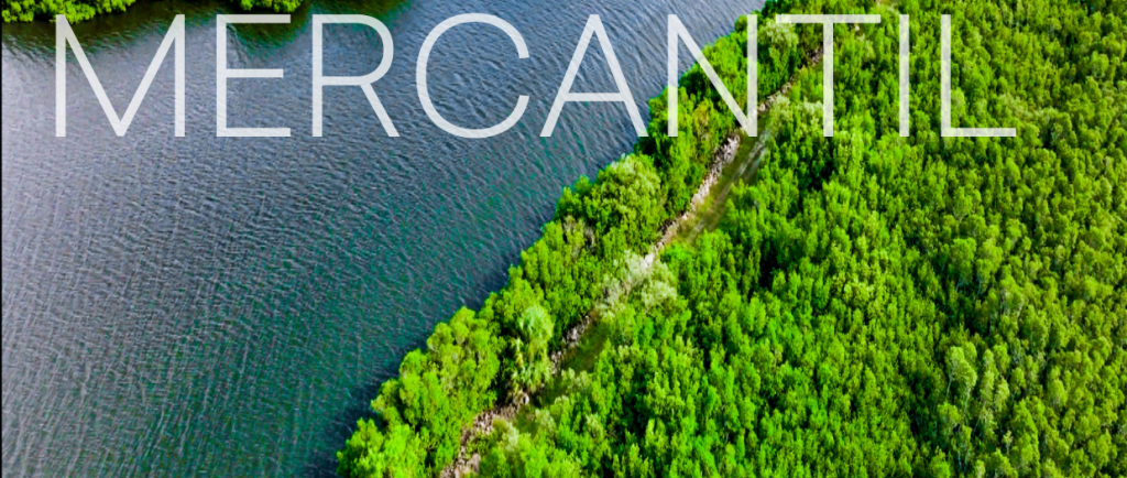 Actualidad jurídica MERCANTIL