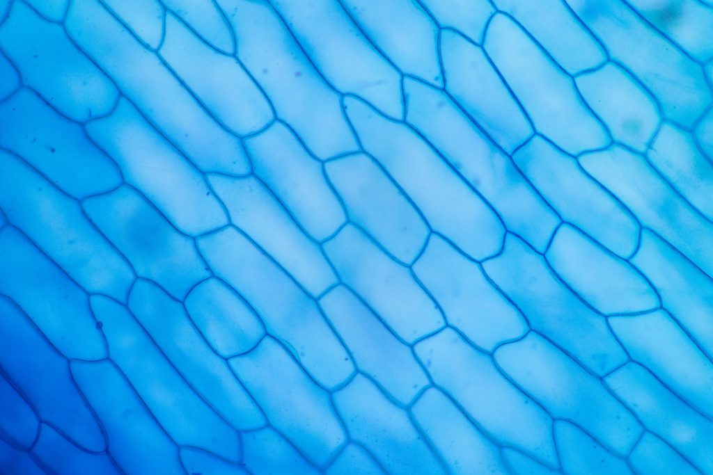 4cf21cc8ee680b9f01218dbe9cd72cd09723a026