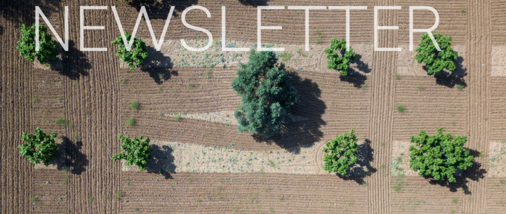 Newsletter, 31032026