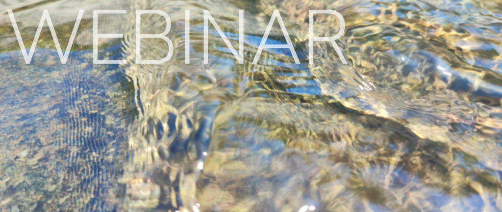 Banner WEBINAR